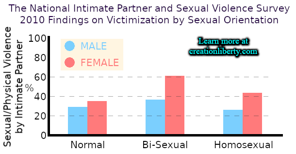 Feminism Lesbian Relationships Violence Rape 2010 Findings on Victimization by Sexual Orientation