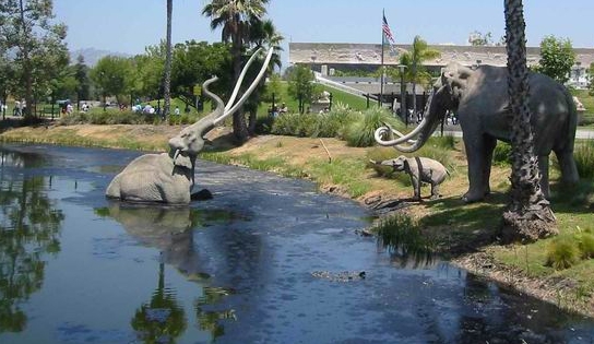 la brea dinosaur museum