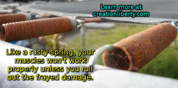 Muscle Roll Frayed Pain Joint Arthritis